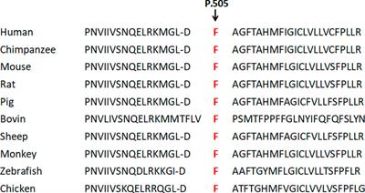 Identification of novel variations of oculocutaneous albinism type 2 with Prader–Willi syndrome/Angelman syndrome in two Chinese families